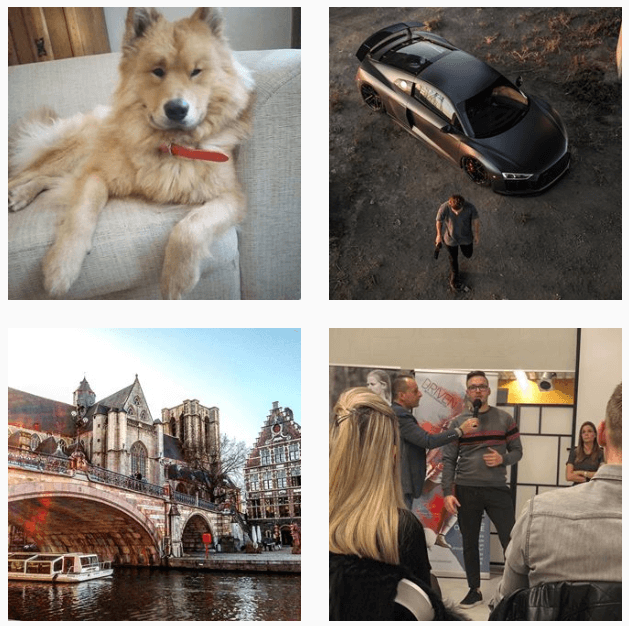 enkele foto's op Instagram, een hond, sfeerfoto, een auto