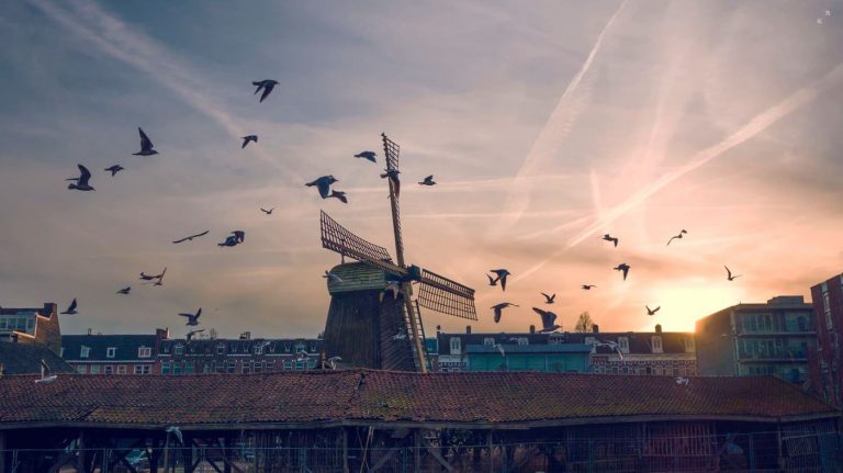windmolen met zwerm vogels bij schemering